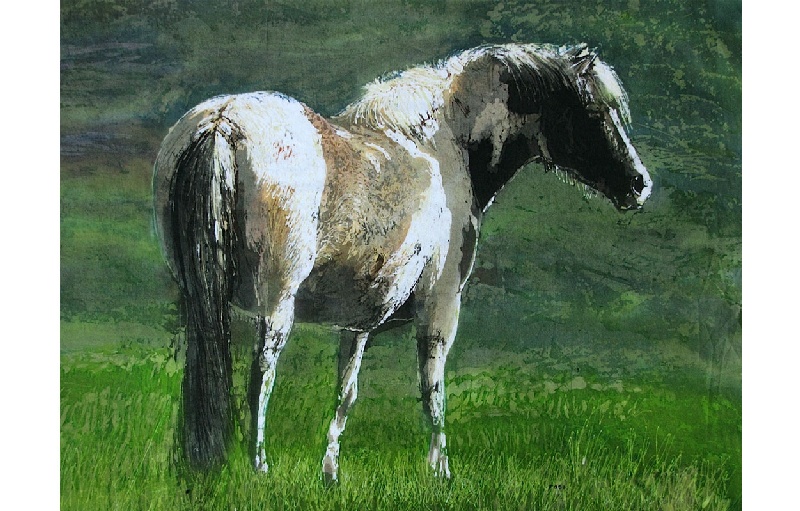 Welsh Pony