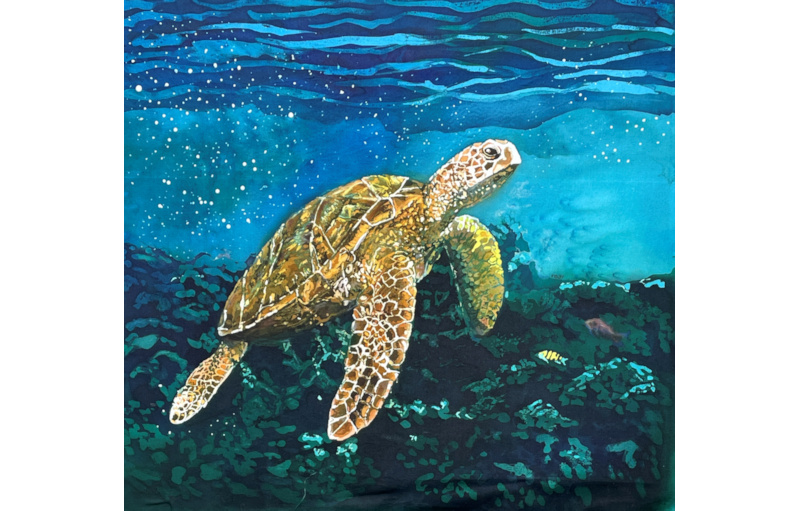 Turtle