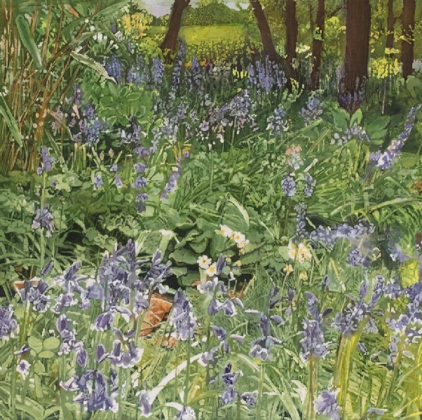 Bluebells and Primroses