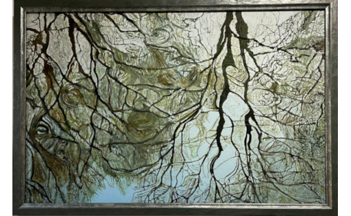 Reflections of Trees