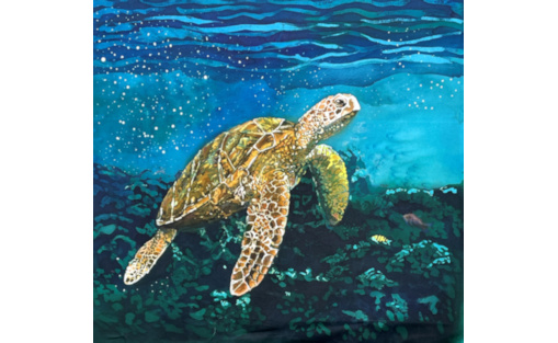 Turtle