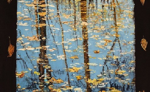 Floating Leaves and Reflection of Trees
